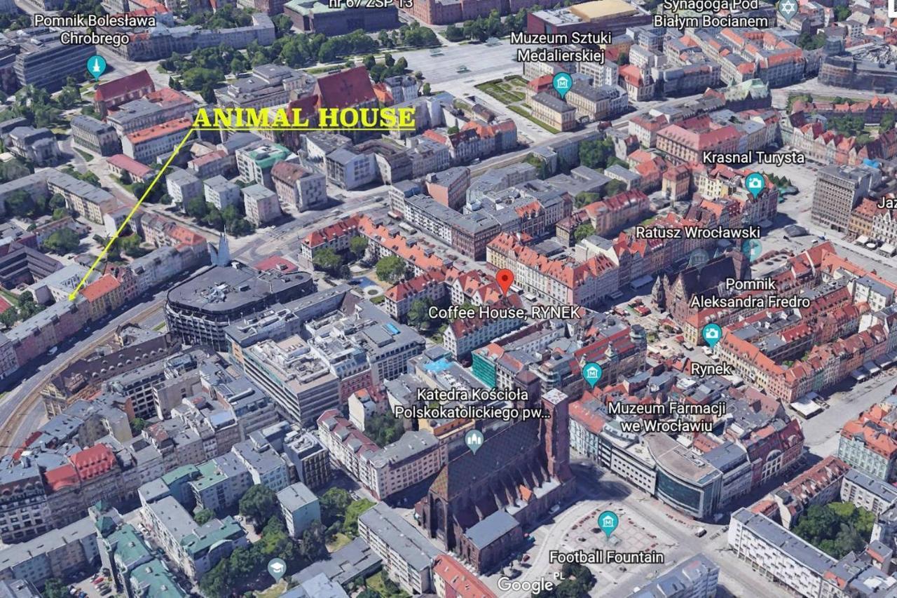 Animal House - StayinWrocław Buitenkant foto